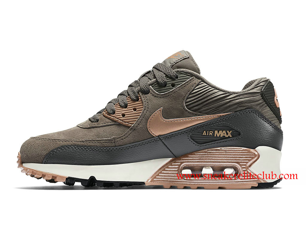 nike air max chaussure femme